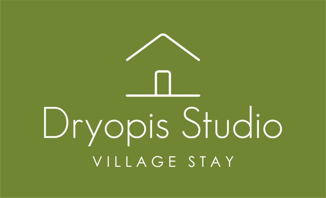 Dryopis Studio Dhriopís Zewnętrze zdjęcie